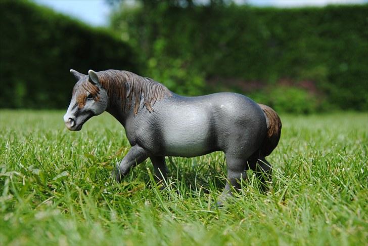 Mine Schleich heste - Percheron Hoppe: Queen billede 15