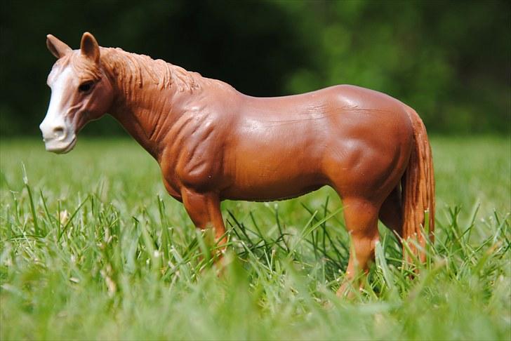 Mine Schleich heste - Quater Horse hoppe: Prinsses billede 27