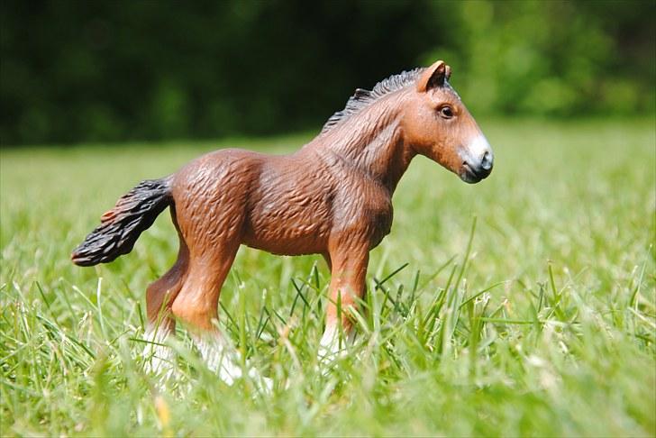 Mine Schleich heste - Shire Hoppeføl: Cecilie billede 30