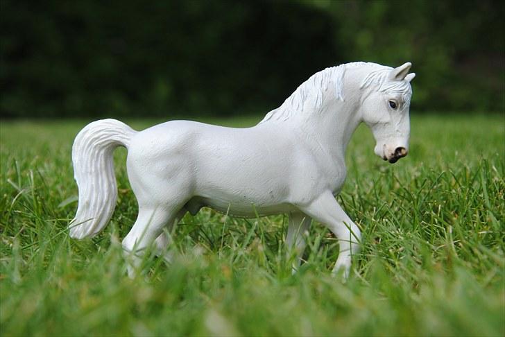 Mine Schleich heste - Lipizzaner Hingst: King billede 32