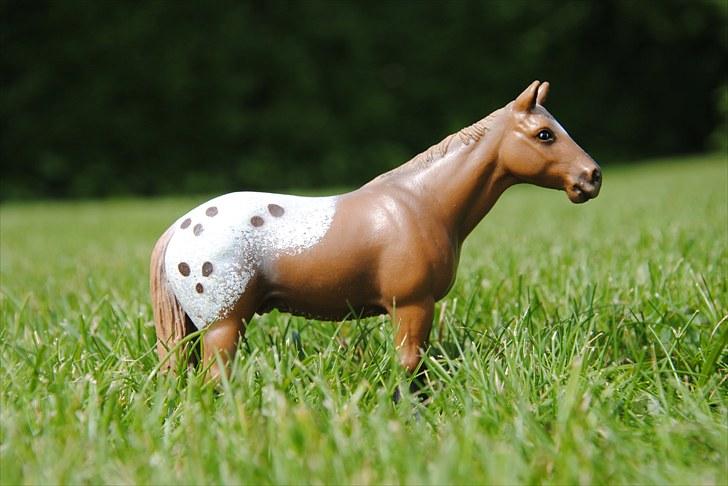 Mine Schleich heste - Apaloosa vallak: Asterix billede 33