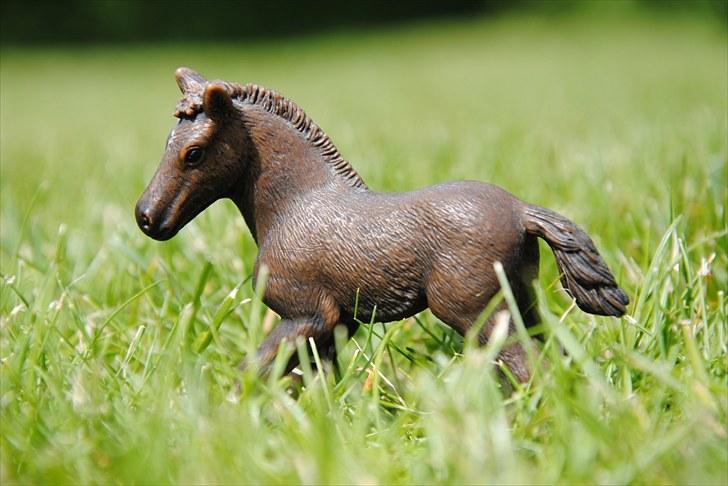 Mine Schleich heste - Carmague hoppeføl: Medina billede 34