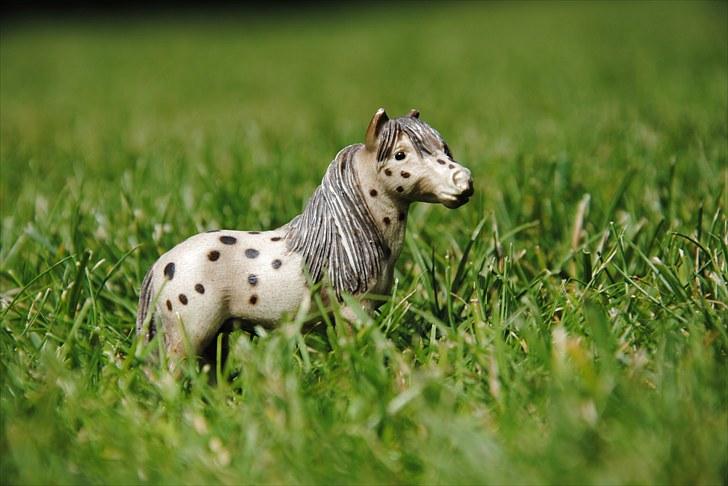 Mine Schleich heste - Falabella Vallak: Lasse billede 35