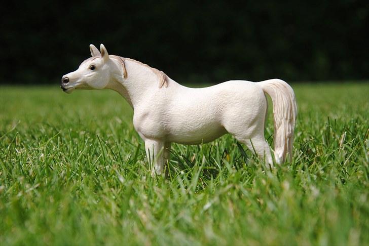 Mine Schleich heste - Araber hoppe: Donna billede 37