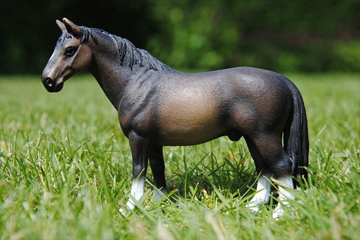 Mine Schleich heste - Hannoveraner Hingst: Noir billede 43