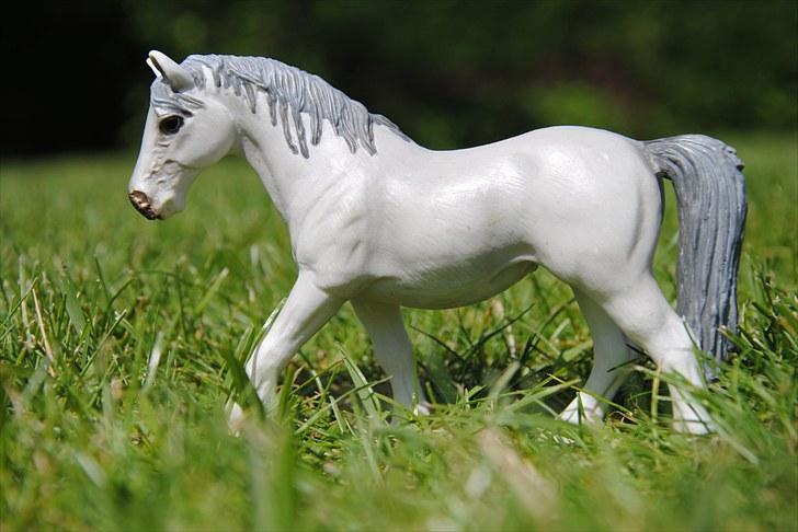 Mine Schleich heste - Lipzzaner hoppe: Bella billede 44