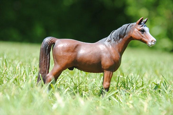 Mine Schleich heste - Araber Hingst: Charles billede 46