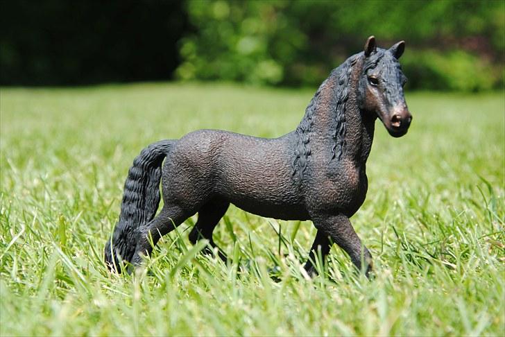 Mine Schleich heste - Frieser Hingst: Charming billede 50