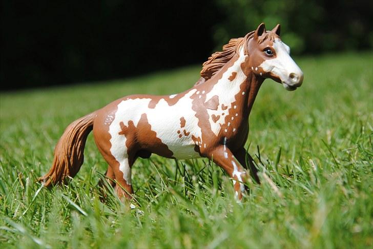 Mine Schleich heste - Pinto hingst: Jack billede 51