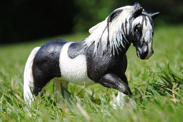 Mine Schleich heste - Tinker Hoppe: Molly billede 52