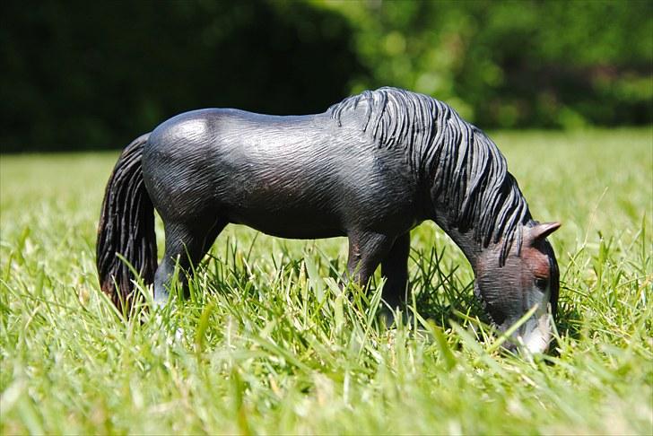 Mine Schleich heste - Shire Hoppe: Margrethe billede 54