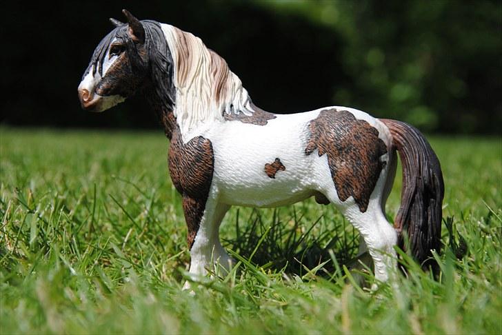 Mine Schleich heste - Tinker Hingst: Sheik billede 55