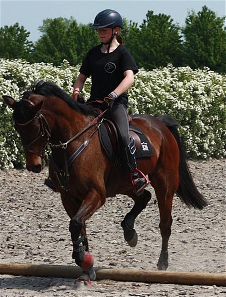 Cawello & Jeg - spring-dressur v. Malene Lund (-: d. 06062010 billede 10