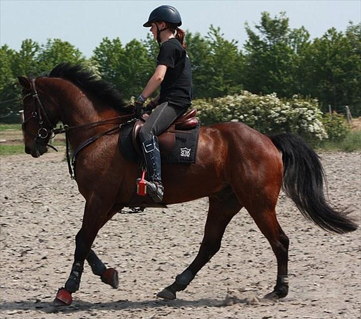 Cawello & Jeg - spring-dressur v. Malene Lund (-: d. 06062010 billede 14