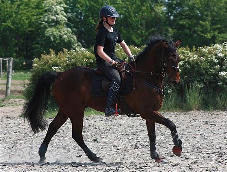 Cawello & Jeg - spring-dressur v. Malene Lund (-: d. 06062010 billede 15