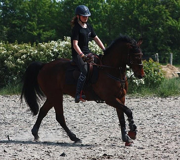 Cawello & Jeg - spring-dressur v. Malene Lund (-: d. 06062010 billede 16