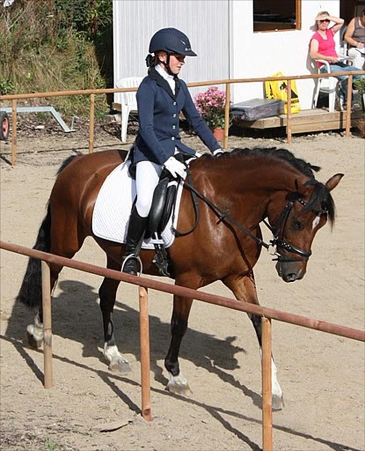 Rytterbjergets Undine & Jeg - Welshponyensdag (GAMMELT!) billede 5