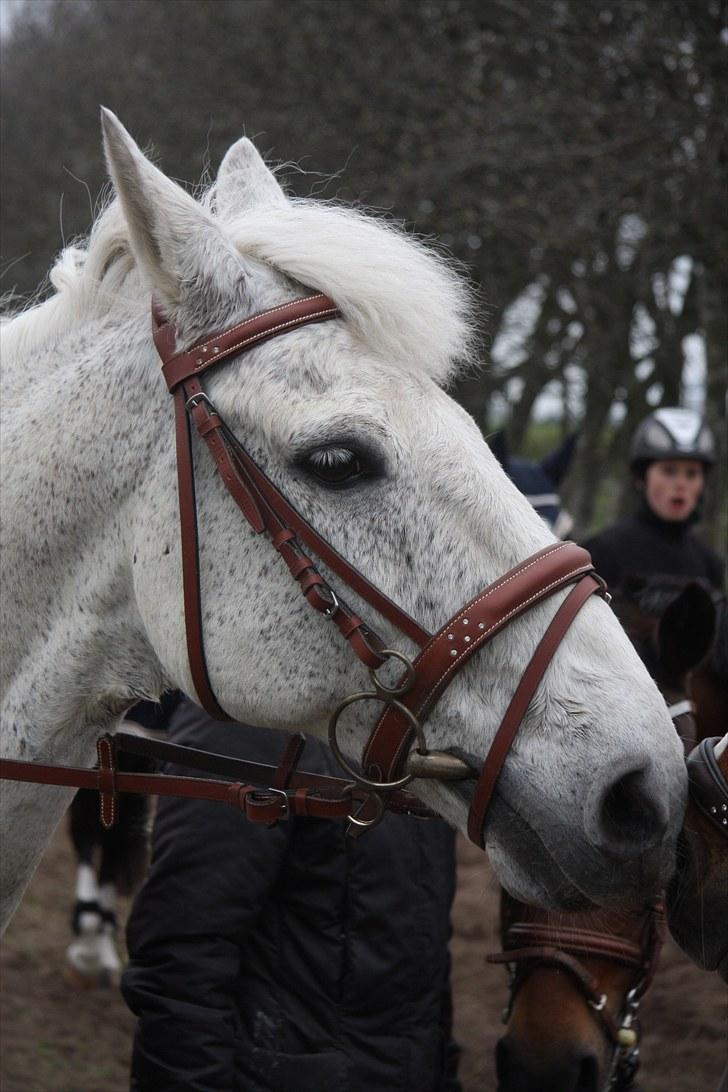 Løgstrup - Bobby & Jeanne Keller billede 21