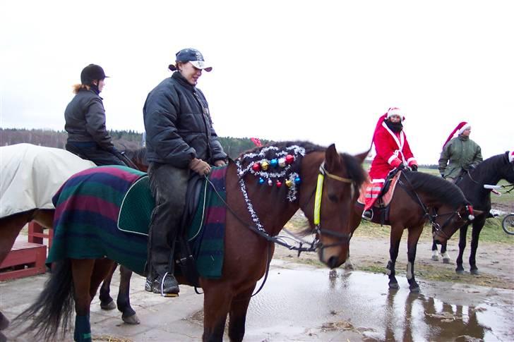 Mine smukke heste igennem tiderne - Det er så Ravello... han var en bandit, men han kunne en masse sjove kunster når han selv ville, og det var som regel det der var problemet griner... men her er han til juleridt sammen med den pige der passede ham et par gange om ugen billede 3