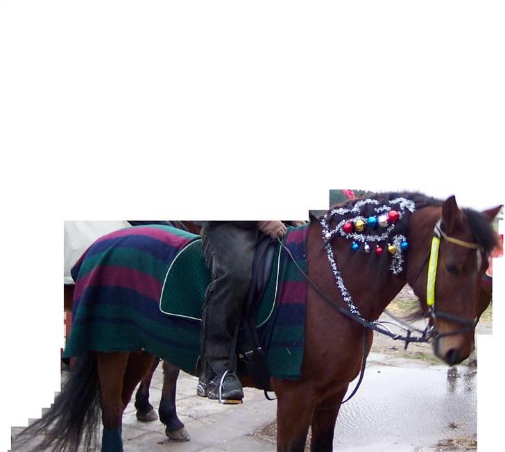 Mine smukke heste igennem tiderne - Se den fine juletræs hest griner.... billede 5