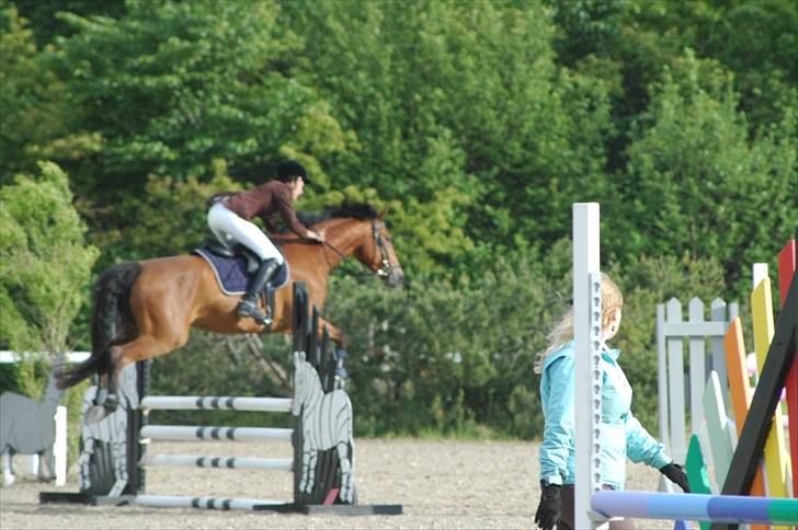 Luritos første springstævne billede 2