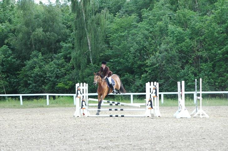 Luritos første springstævne billede 4