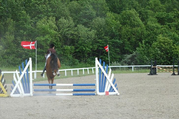 Luritos første springstævne billede 6