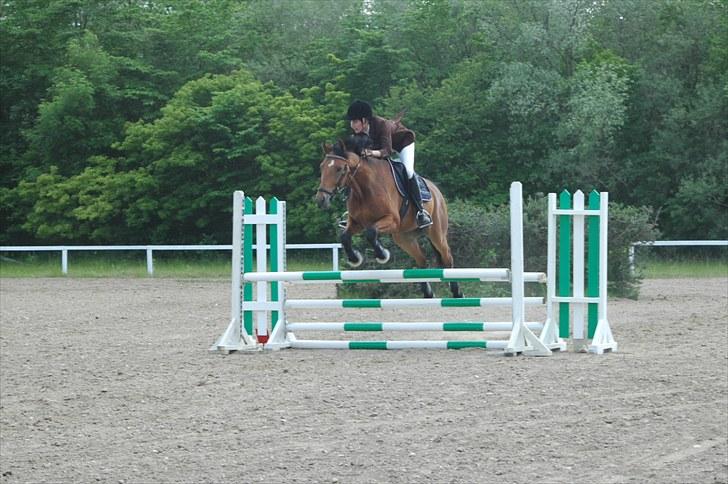 Luritos første springstævne billede 7