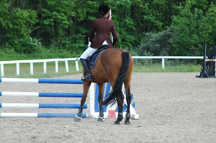 Luritos første springstævne billede 8