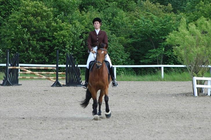 Luritos første springstævne billede 9