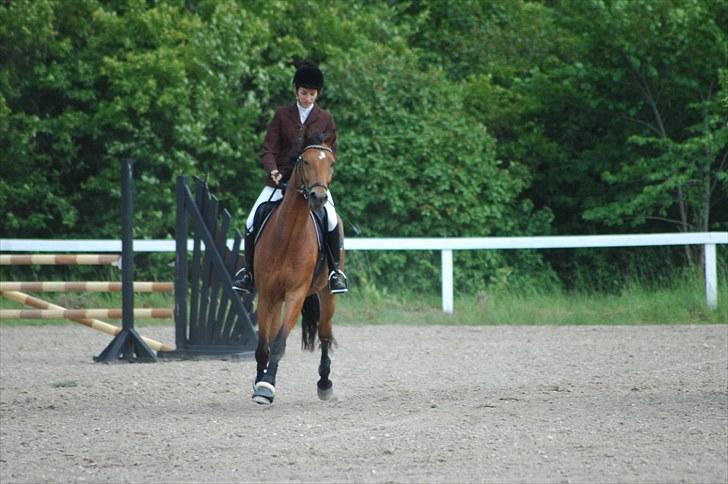 Luritos første springstævne billede 10