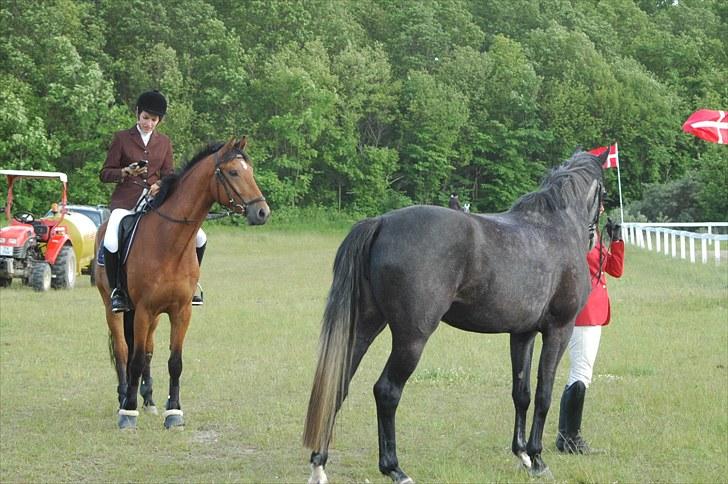 Luritos første springstævne billede 13