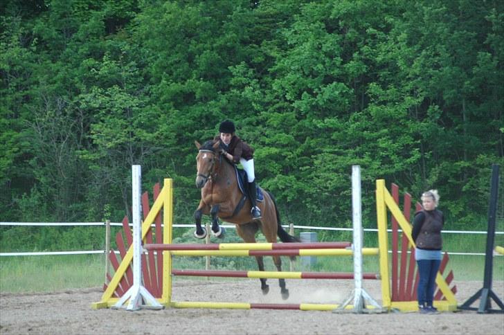 Luritos første springstævne billede 20