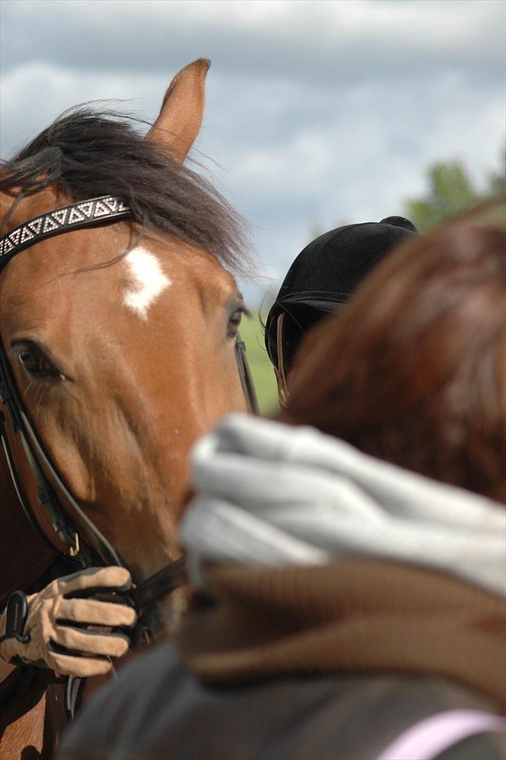 Luritos første springstævne billede 23