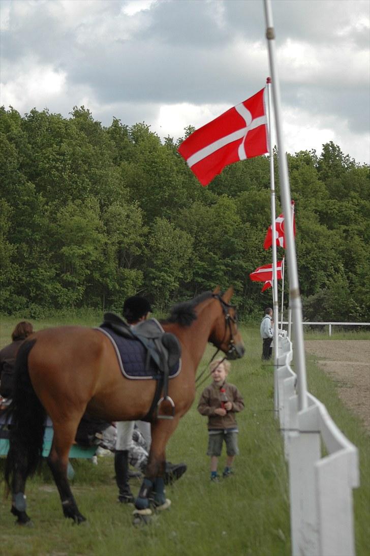 Luritos første springstævne billede 24