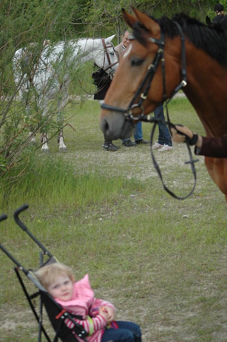 Luritos første springstævne billede 30