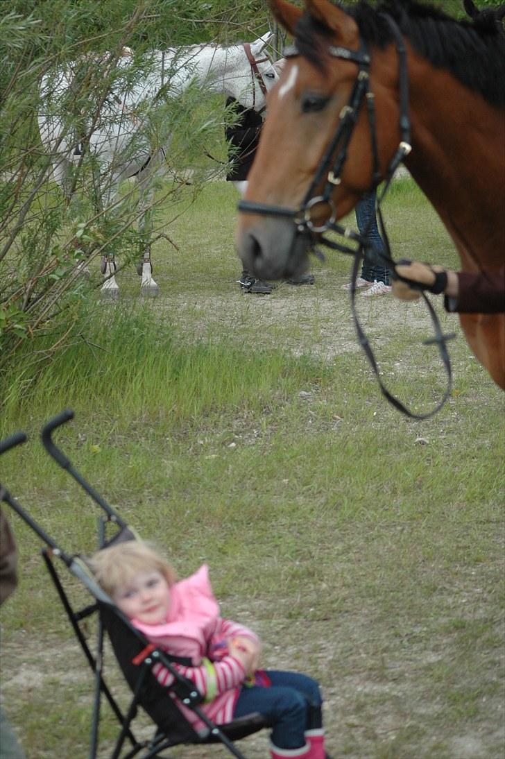 Luritos første springstævne billede 31