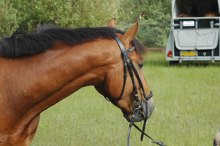 Luritos første springstævne billede 35