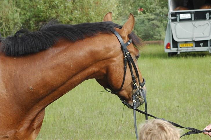 Luritos første springstævne billede 36