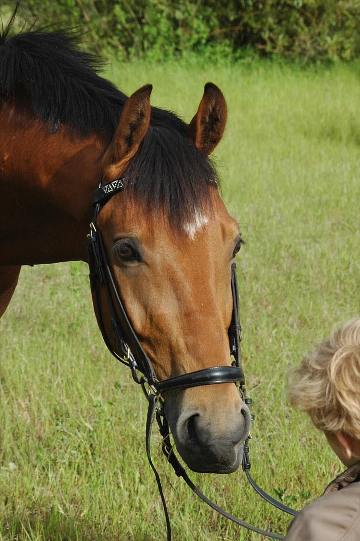 Luritos første springstævne billede 37