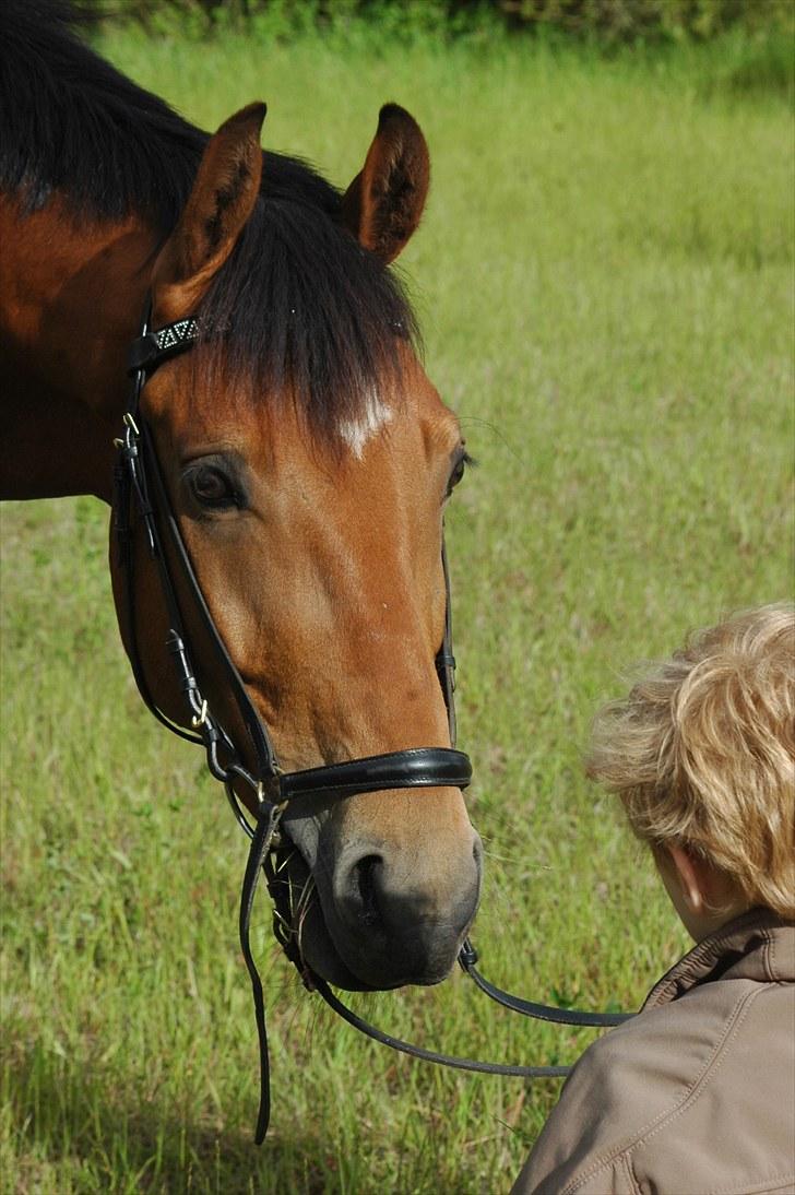 Luritos første springstævne billede 38