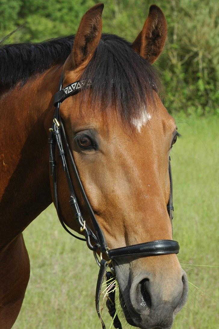 Luritos første springstævne billede 39