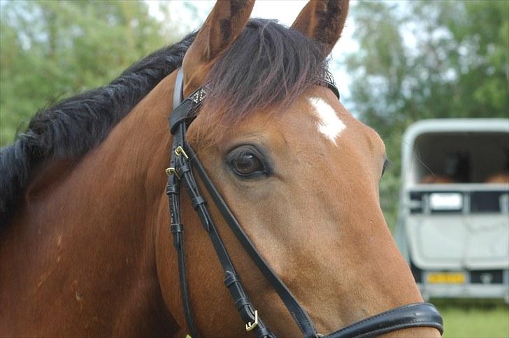 Luritos første springstævne billede 40