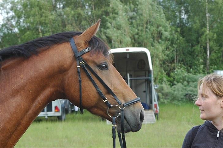 Luritos første springstævne billede 43