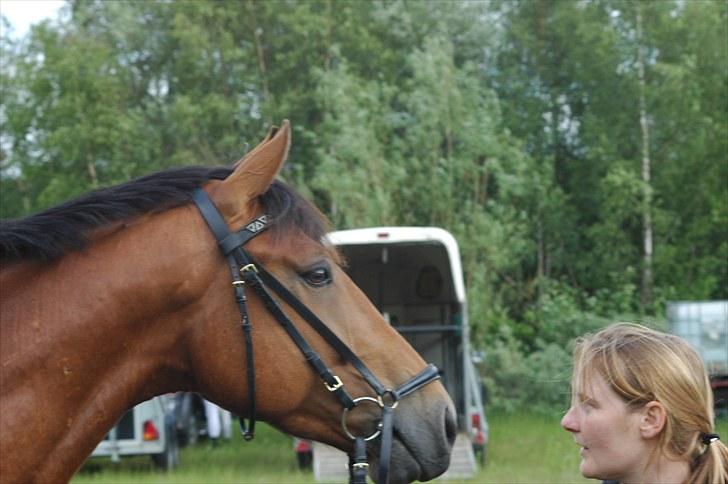 Luritos første springstævne billede 44