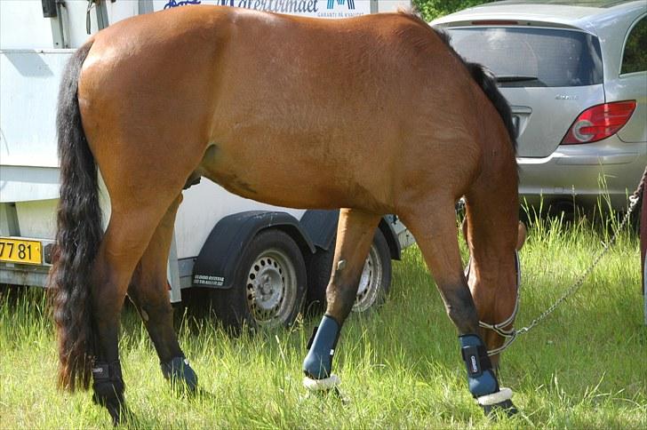 Luritos første springstævne billede 45