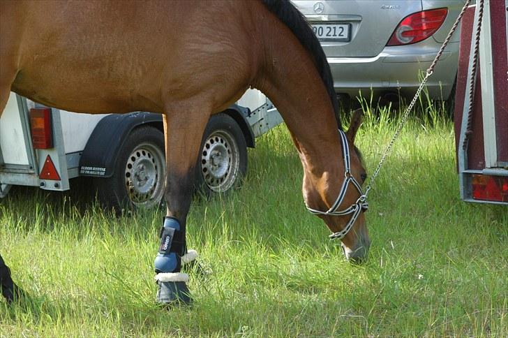 Luritos første springstævne billede 46