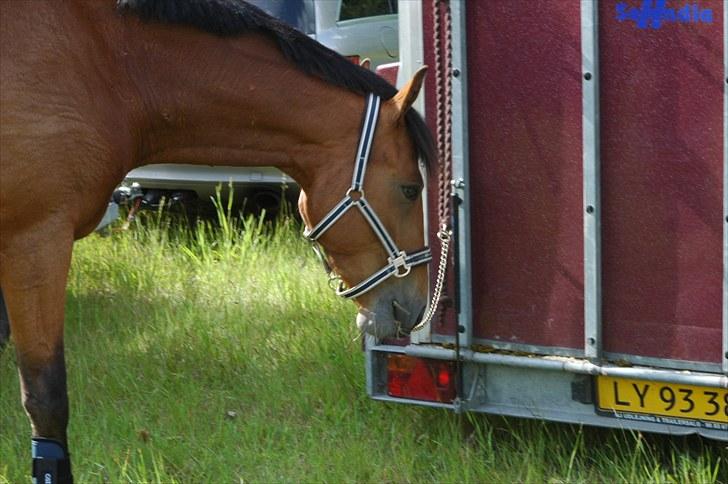 Luritos første springstævne billede 47