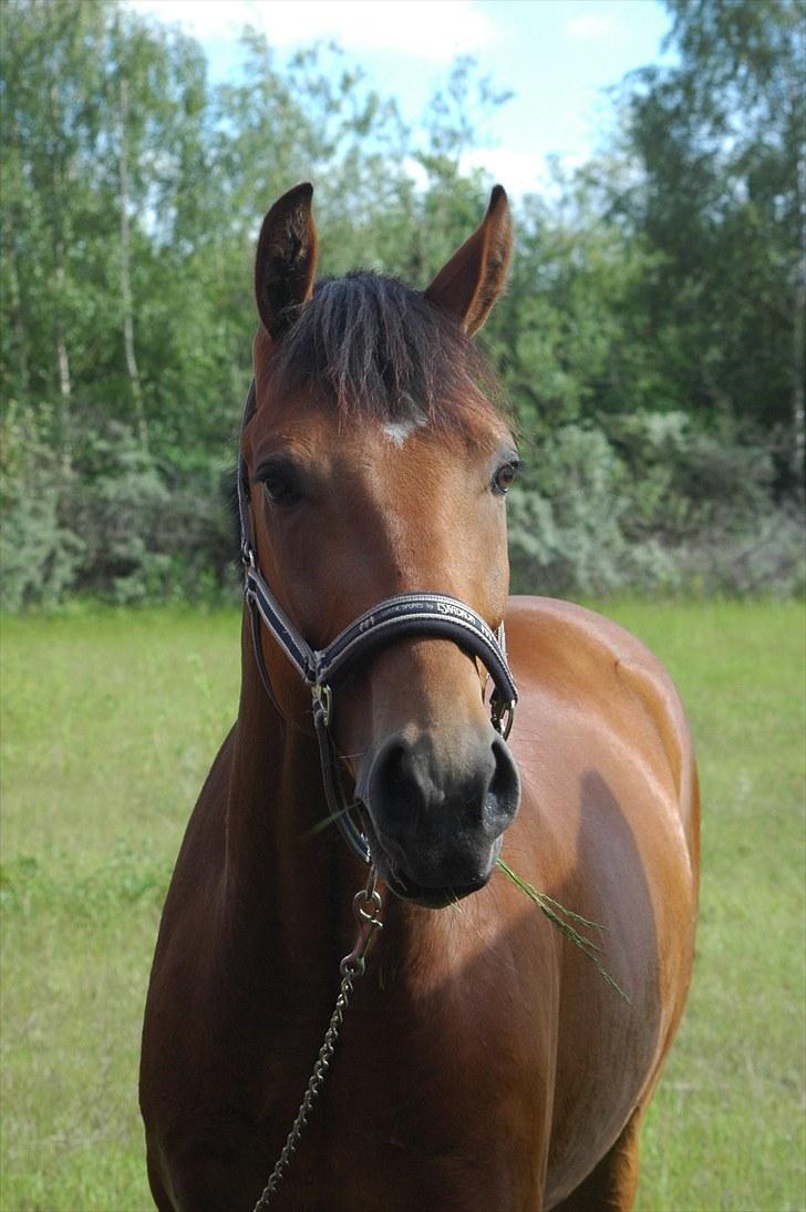 Luritos første springstævne billede 48