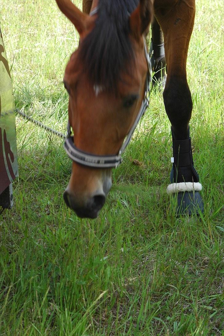 Luritos første springstævne billede 52